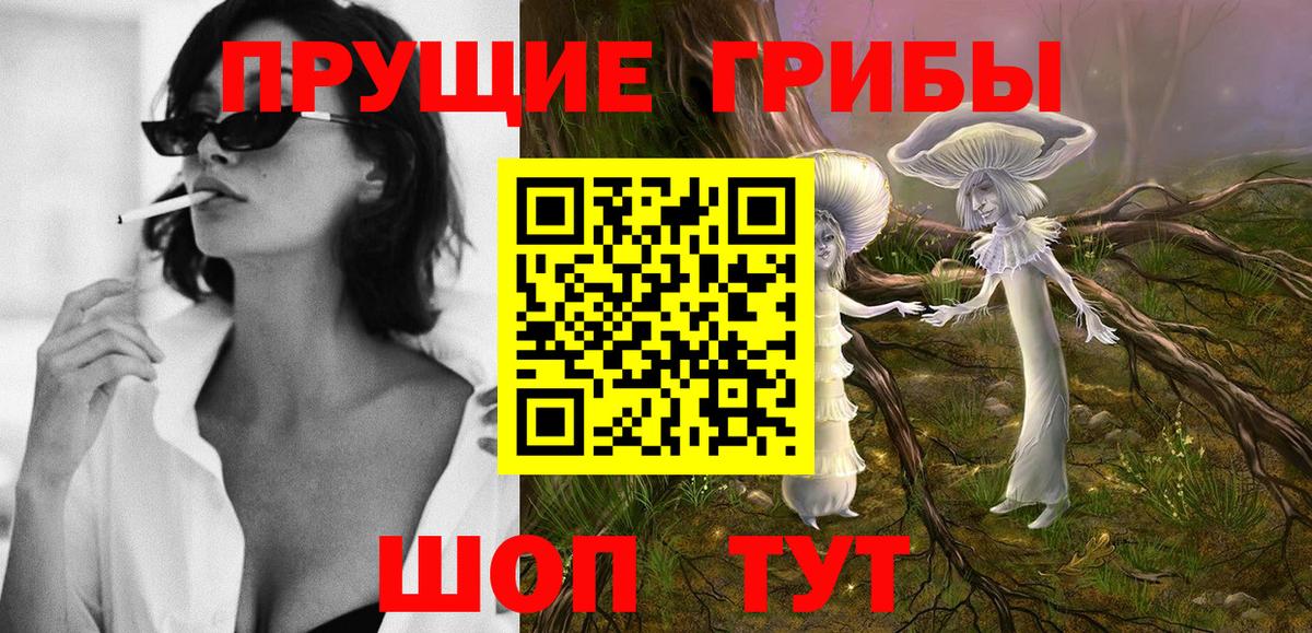 Апшеронск  Псилоцибиновые грибы GOLDEN TEACHER  Галлюциногенные грибы мицелий  Вход с VPN 